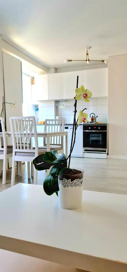 Cozy Modren Apartment On Malvarrosa Beach فالنسيا المظهر الخارجي الصورة